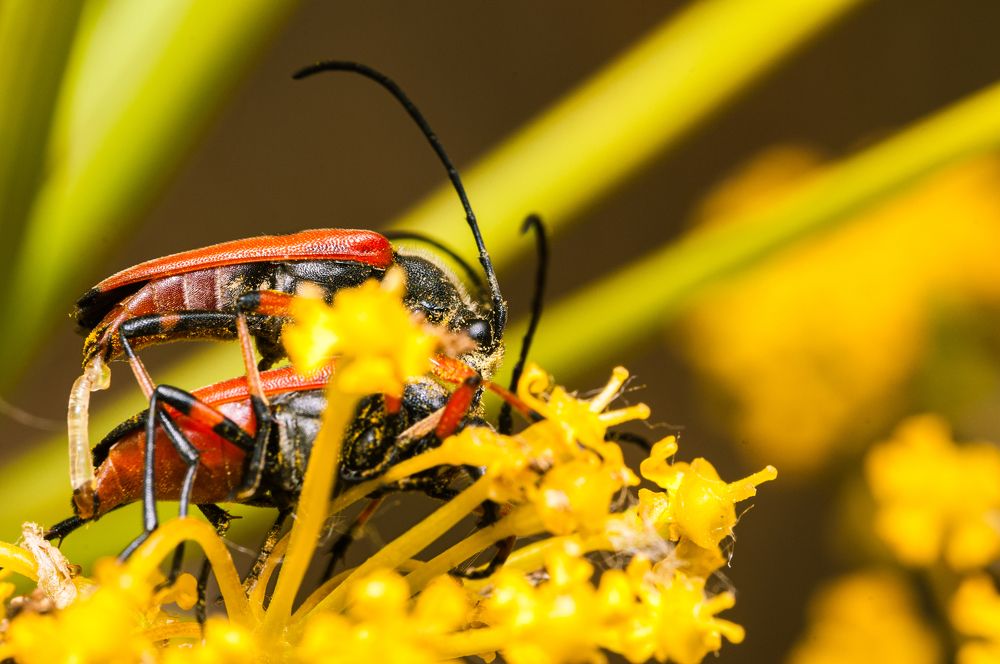 Photograph by Alberto