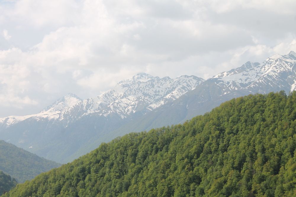 Фотография автора Сергей Старицын