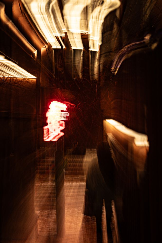 Фотография автора Елена Кошкина