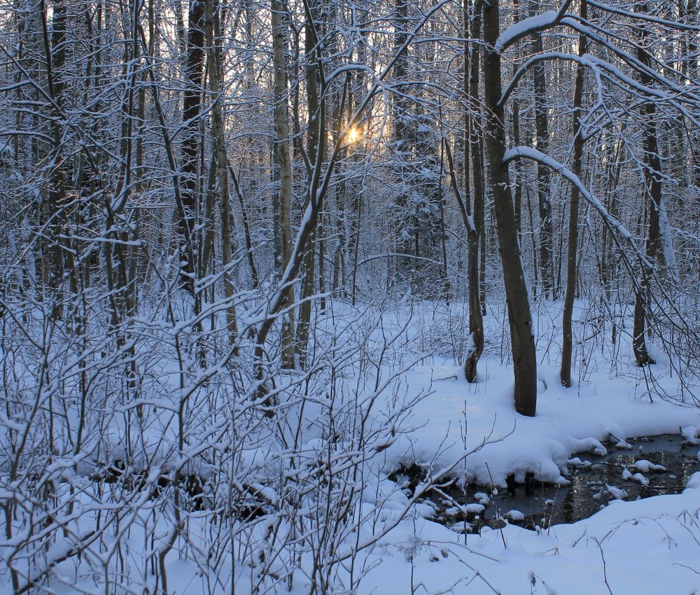 Photograph by Olga Bagaeva