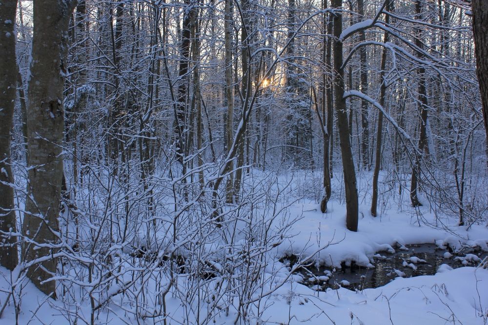 Photograph by Olga Bagaeva