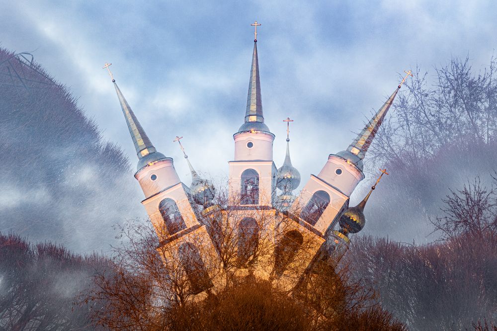 Фотография автора Елена Кошкина