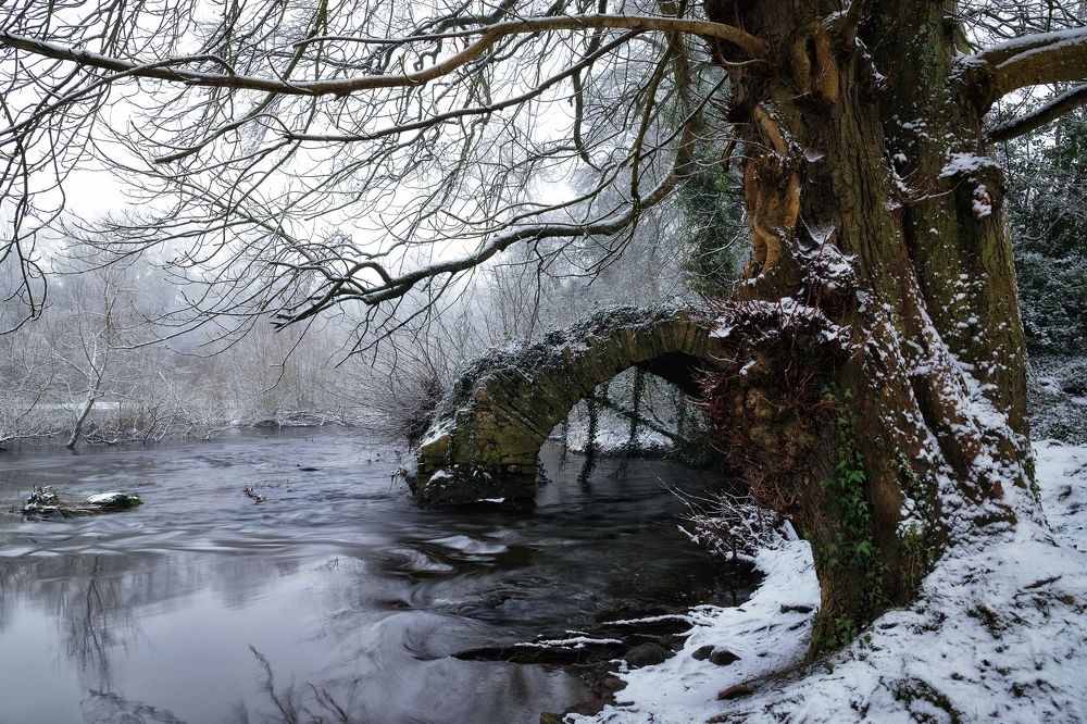 Фотография автора Kanstantsin Markevich