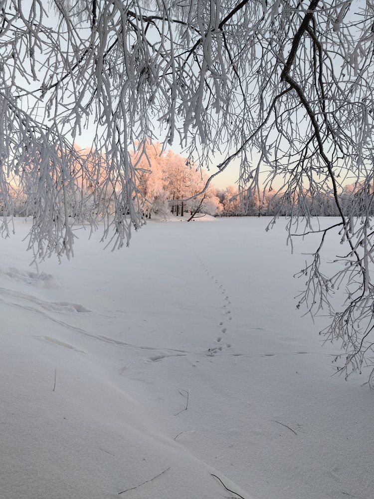 Photograph by Светлана Морева