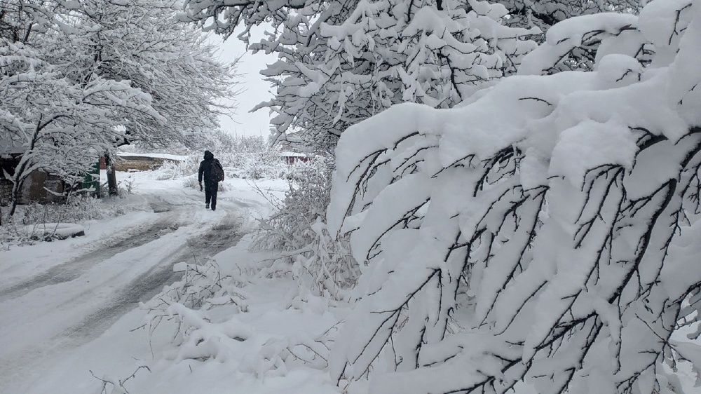 Photograph by Юлия Кононова