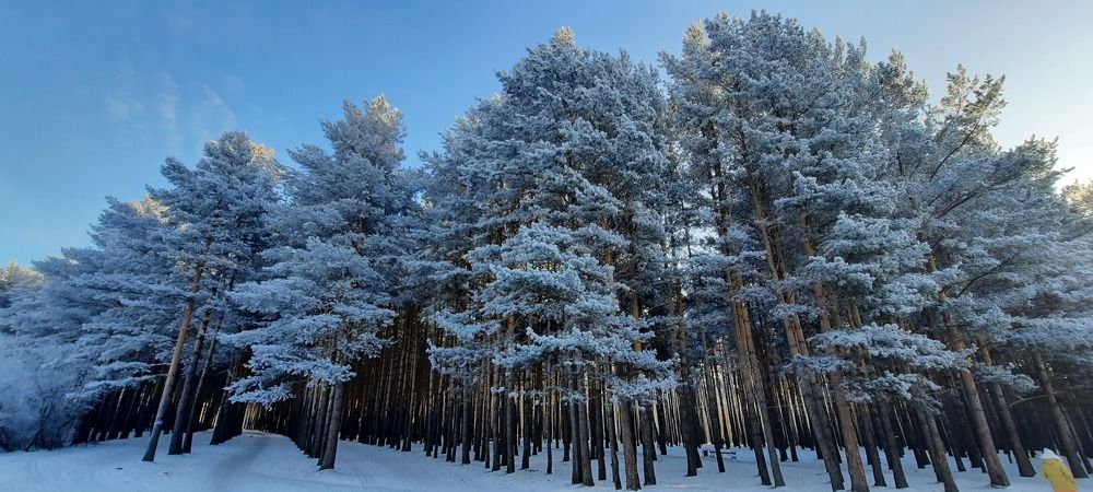 Фотография автора Александр Черепанов