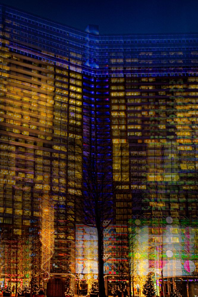 Фотография автора Елена Кошкина