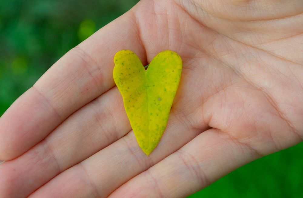 Photograph by Юлия Кононова