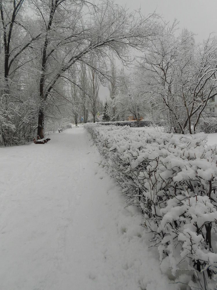 Photograph by Любовь Панфилова