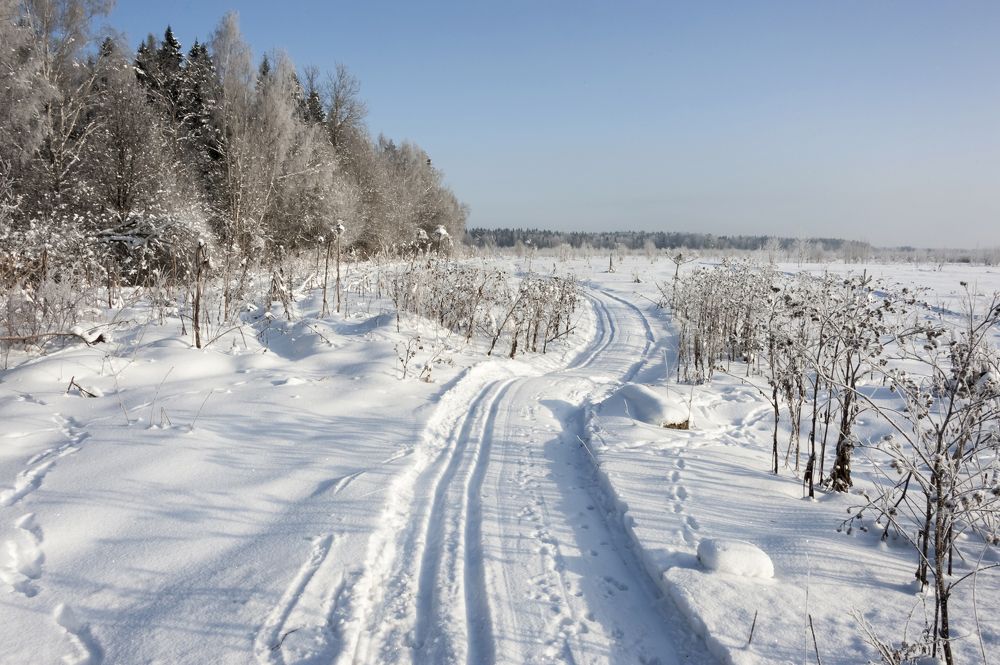 Фотография автора Valery Kleymenov