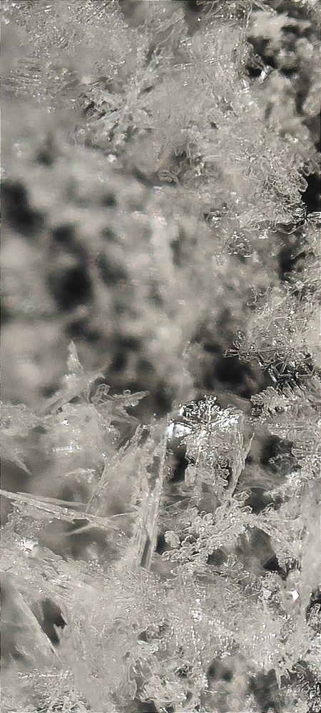 Photograph by Анна Курлова