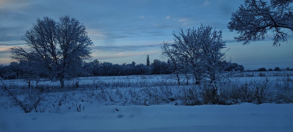 Photograph by Анна Курлова