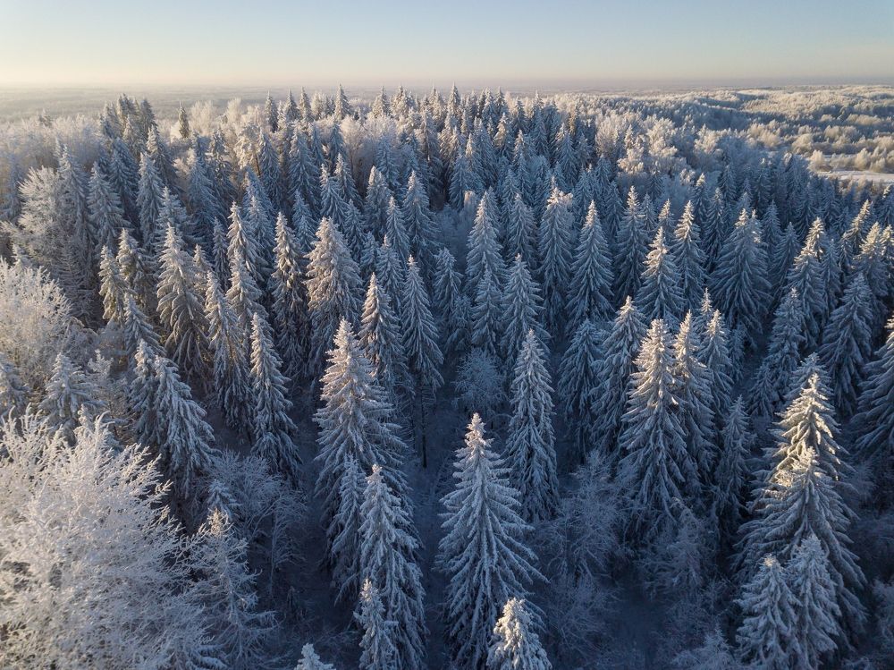 Photograph by Roman Dmitriev