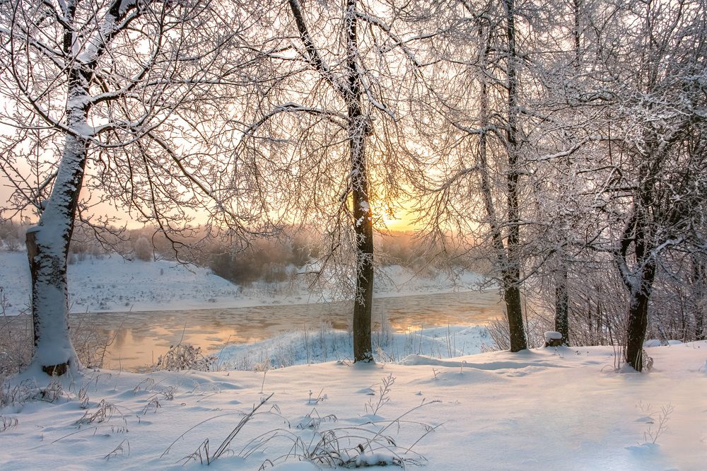 Красивый рассвет у деревьев Старицкого края
