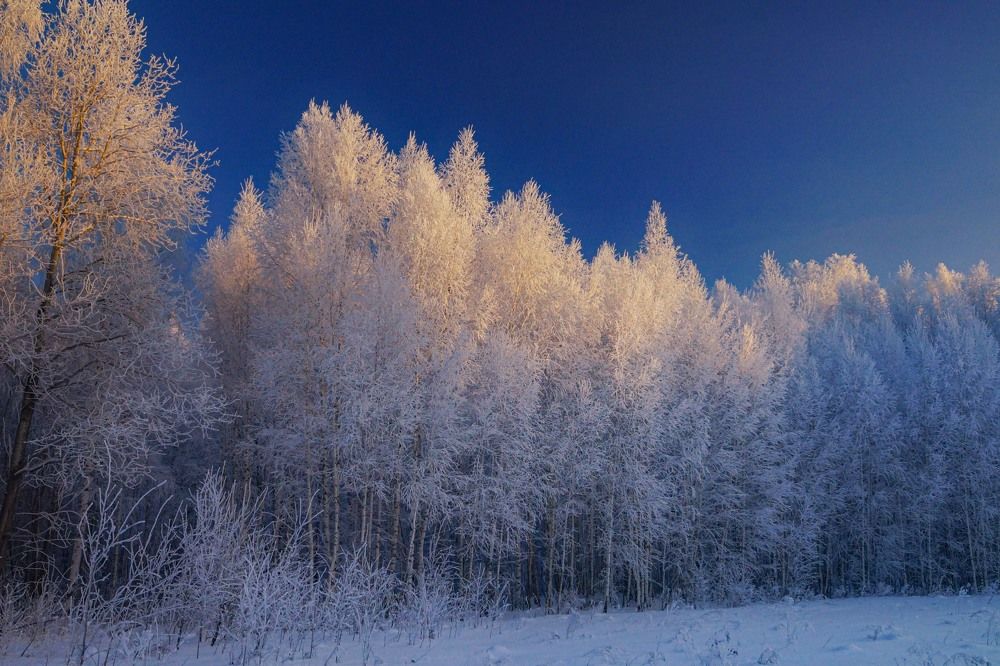 Photograph by Михаил Корнев