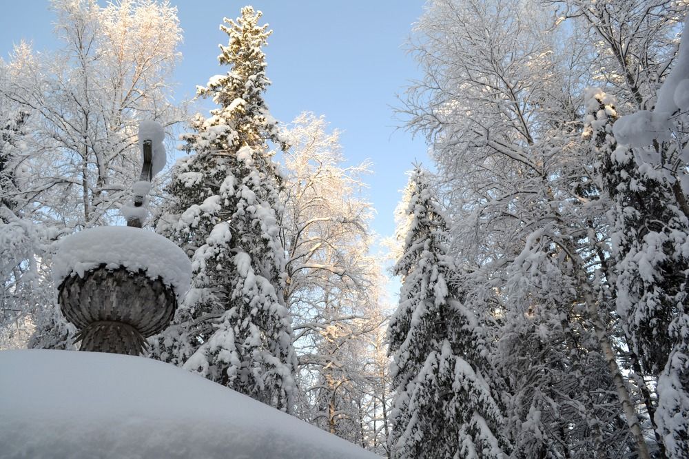 Photograph by Марина Стародуб