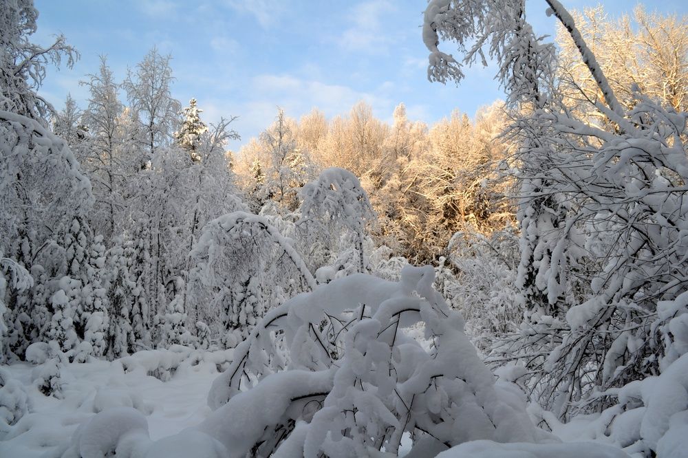 Photograph by Марина Стародуб