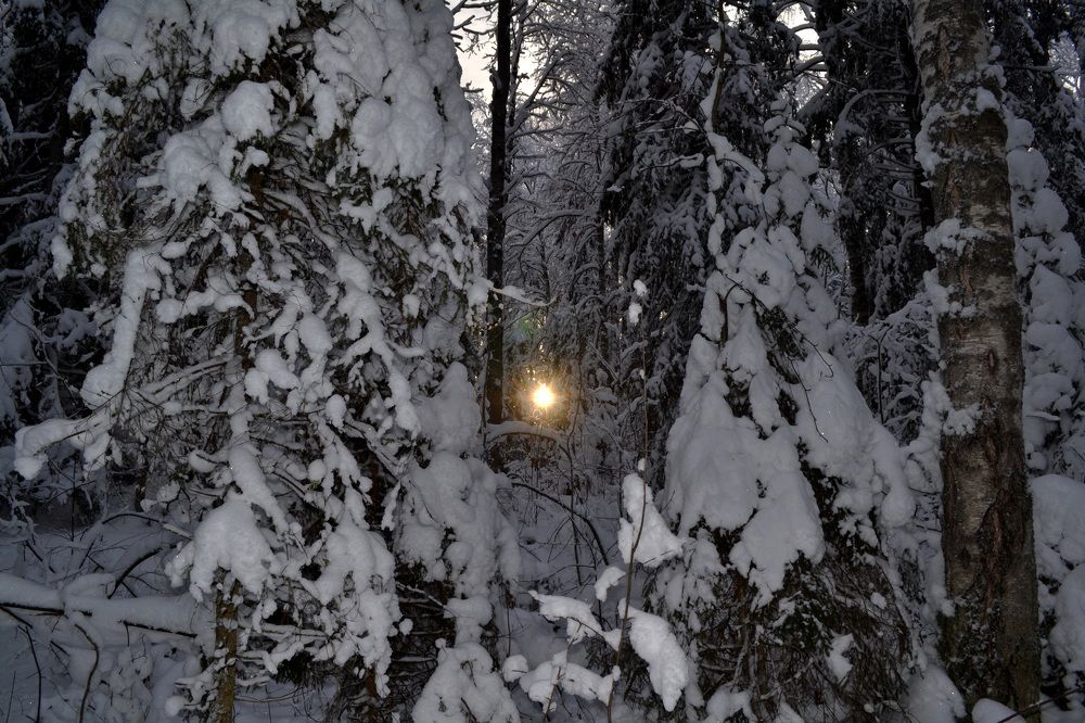 Photograph by Марина Стародуб