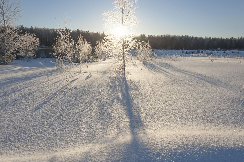 Photograph by Valery Kleymenov