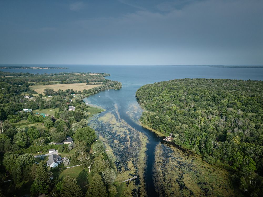 Photograph by Jack Bespalove