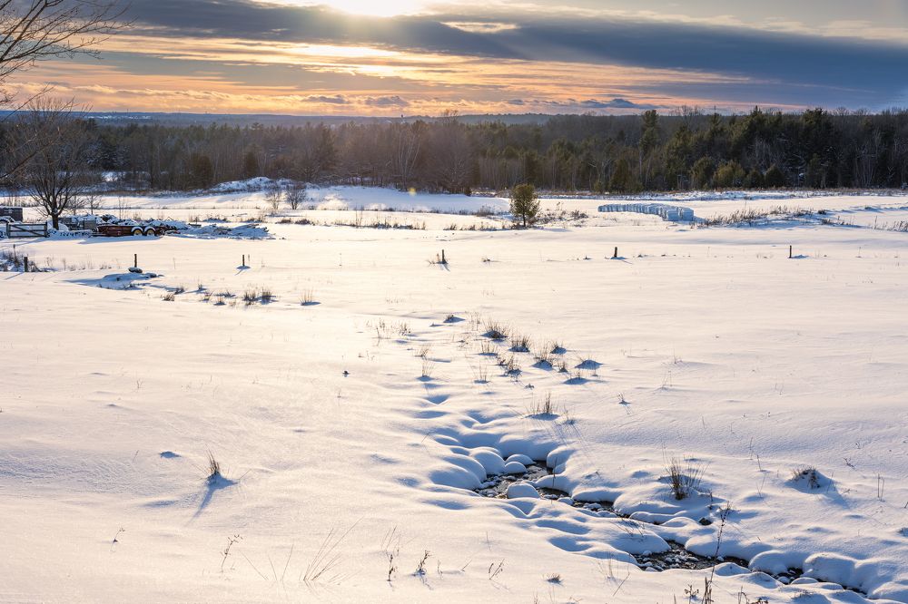 Photograph by Jack Bespalove