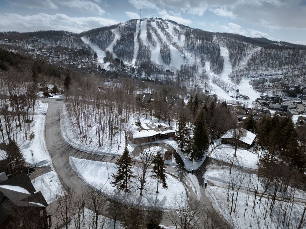 Photograph by Jack Bespalove