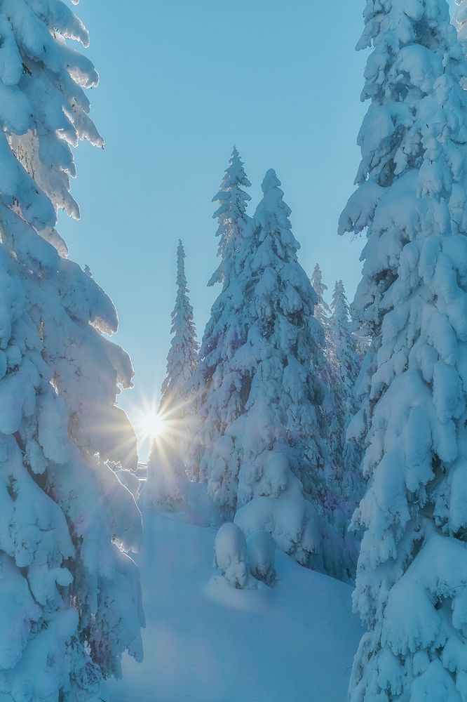 Фотография автора Popescu Cezar Gabriel