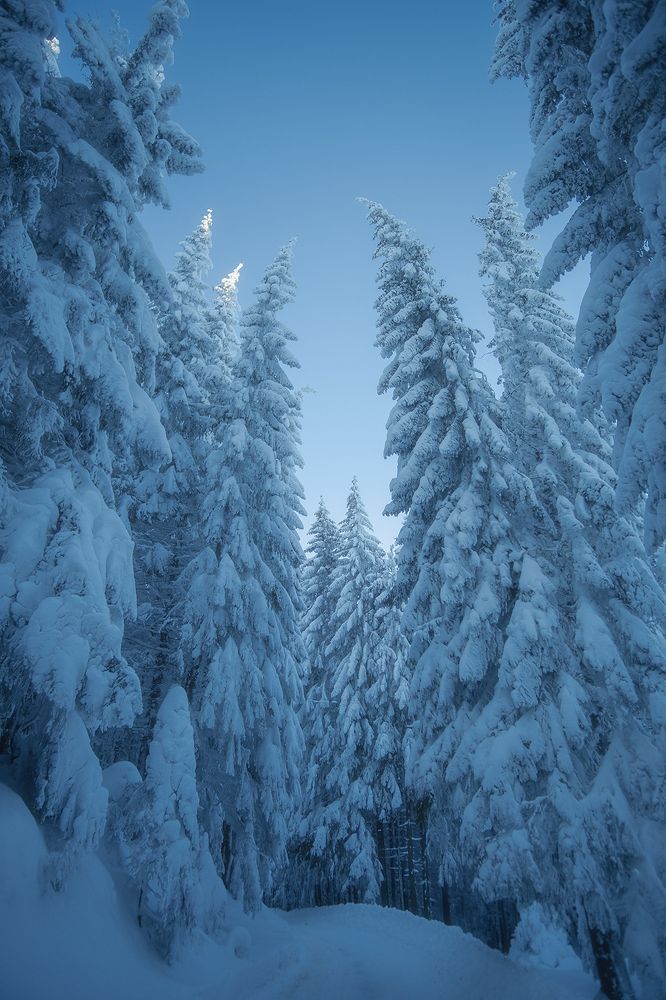 Фотография автора Popescu Cezar Gabriel