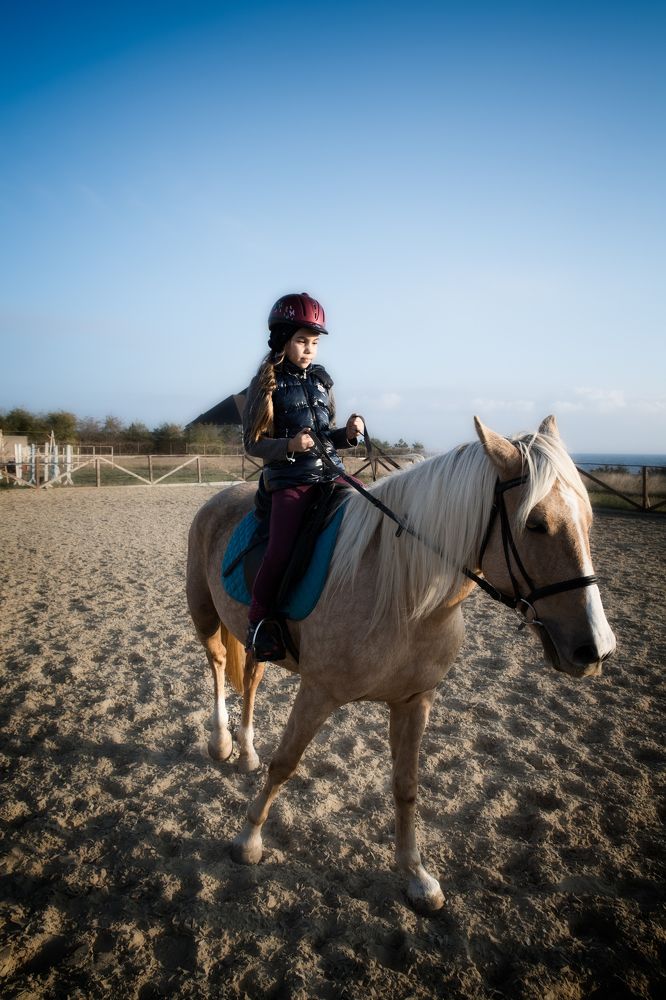 Photograph by Дмитрий Плотников