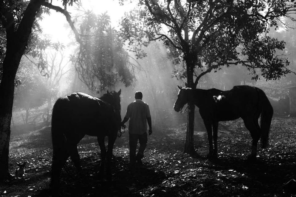 Photograph by Charles Guerra