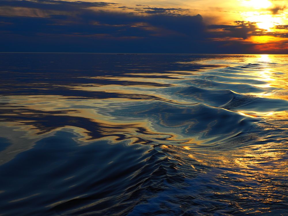 Photograph by PERESHEIN ANDREY