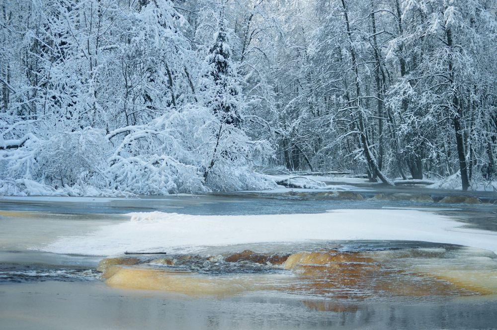 Photograph by Светлана Муравьева