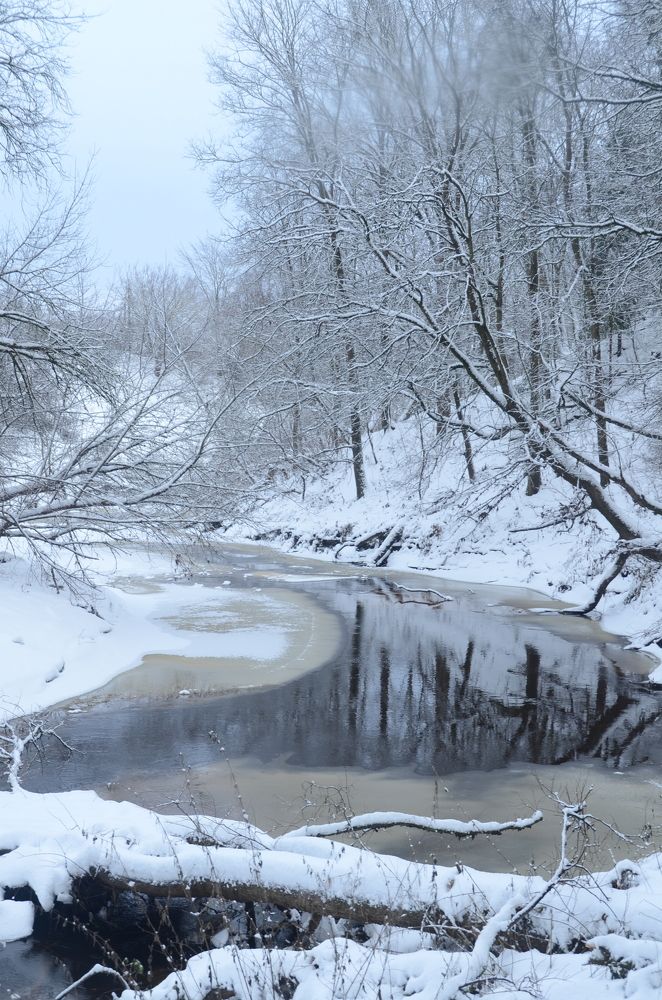 Фотография автора YURY RAMITSAN