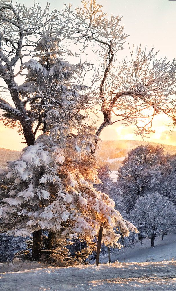 Photograph by Tatyana Pomogaeva