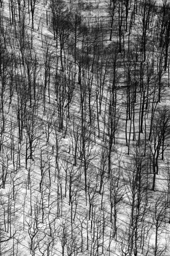 Photograph by Alexander Tsukanov