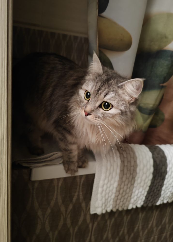 Photograph by Гюзель Даугуль