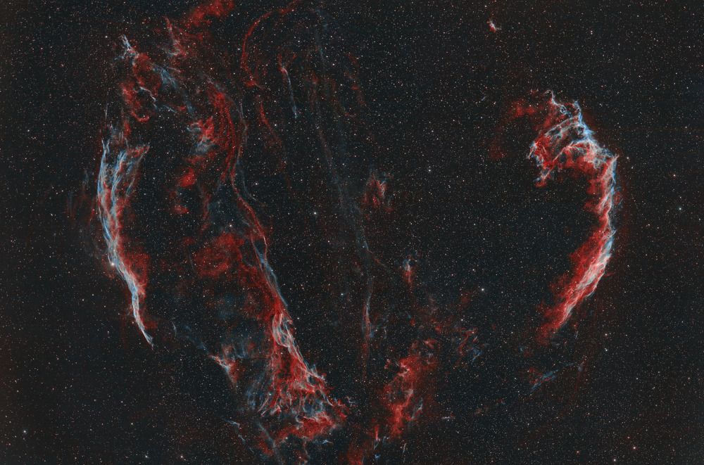 Фотография автора Антон Гарин