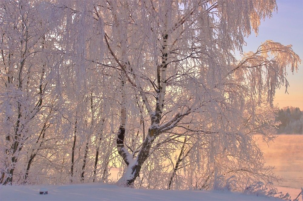 Photograph by Екатерина Апрелева