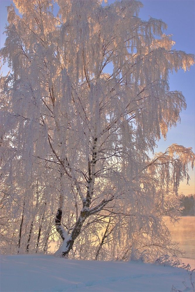 Photograph by Екатерина Апрелева