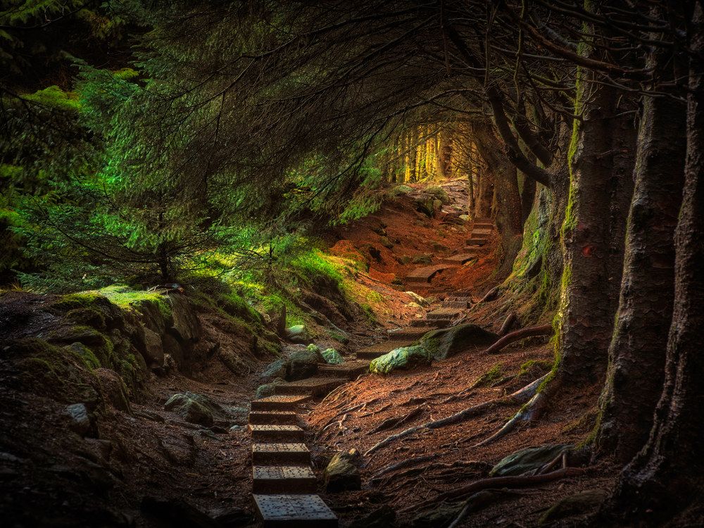 Фотография автора Vasilev Kris