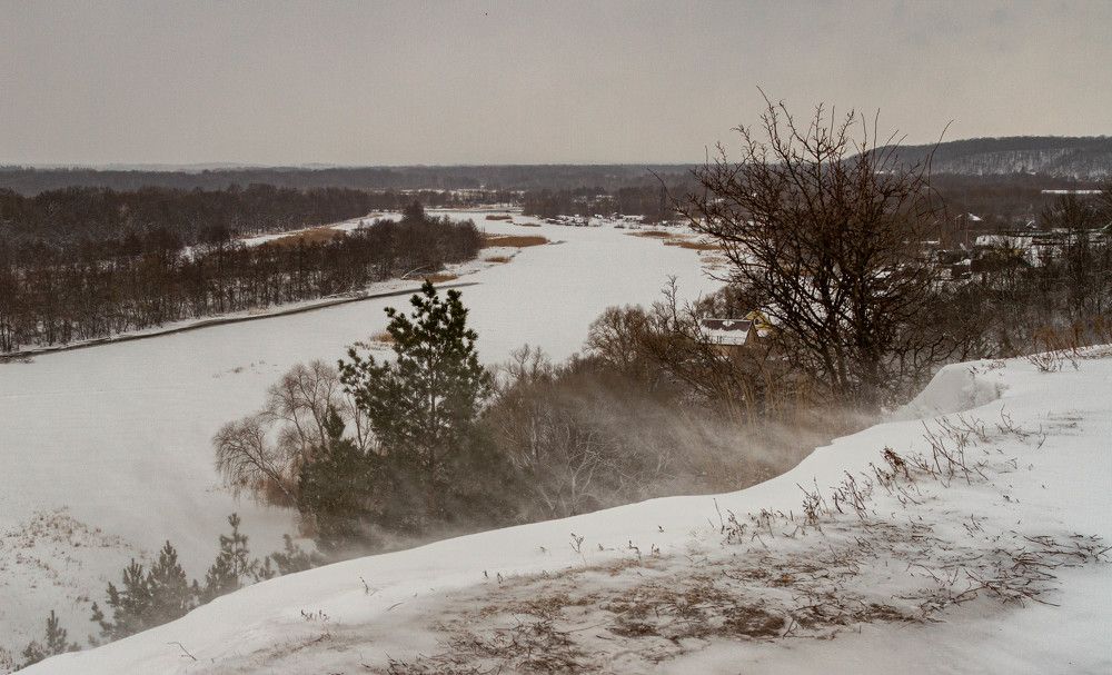 Фотография автора Алексей Тимофеев