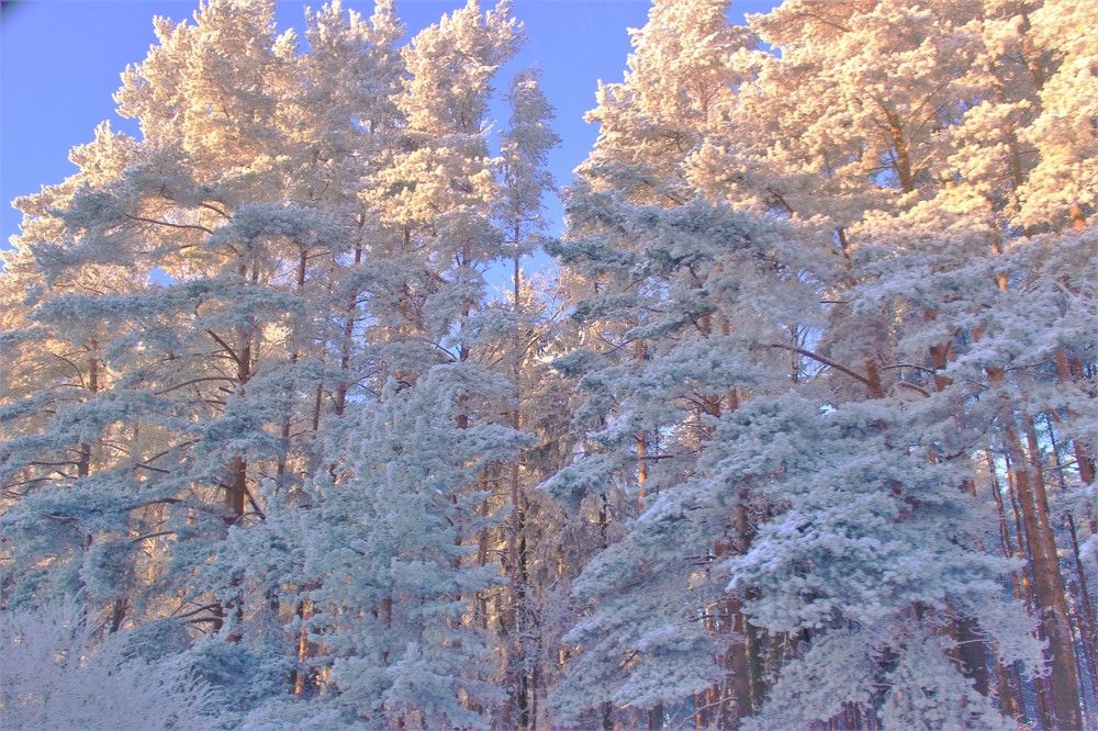 Photograph by Екатерина Апрелева