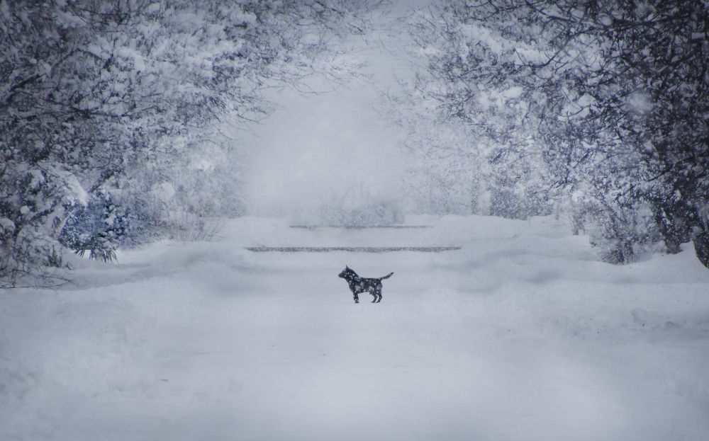 Photograph by Рената Митрова