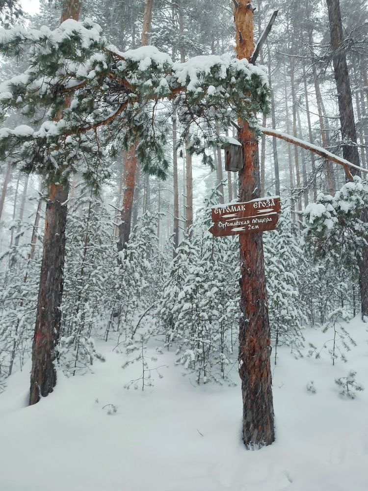 Photograph by Юлия Гинтер