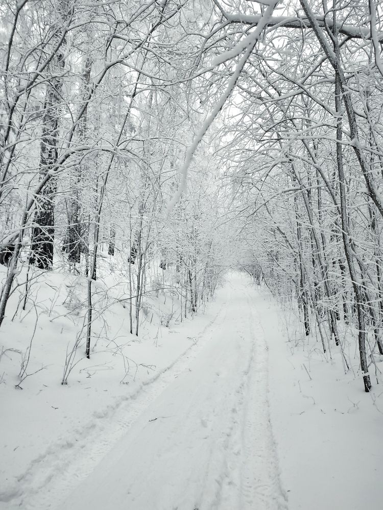 Photograph by Юлия Гинтер