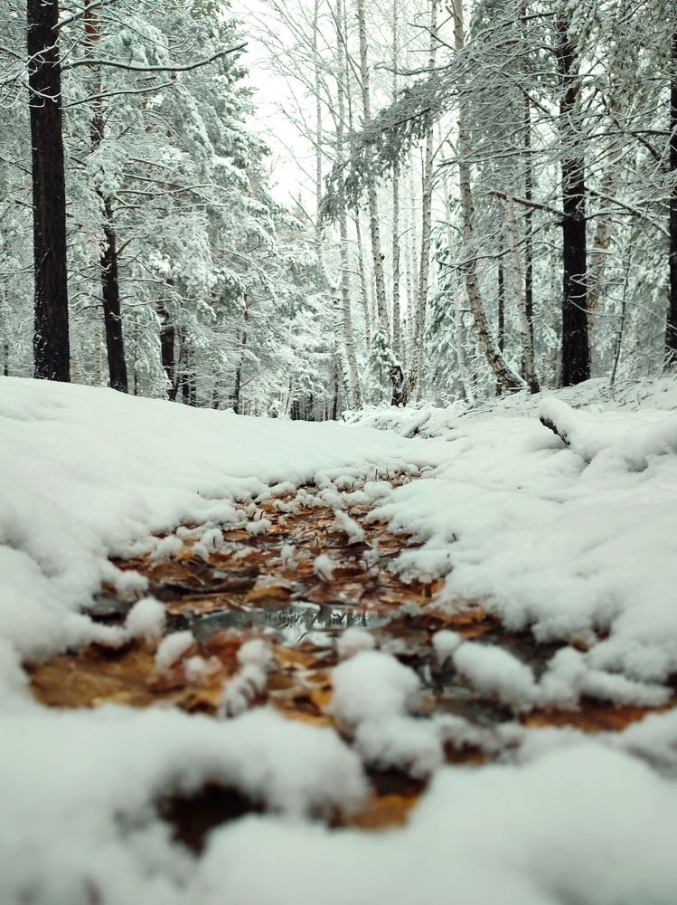 Photograph by Юлия Гинтер