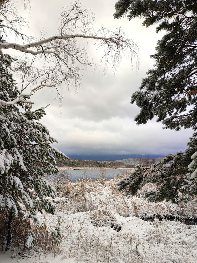 Photograph by Юлия Гинтер