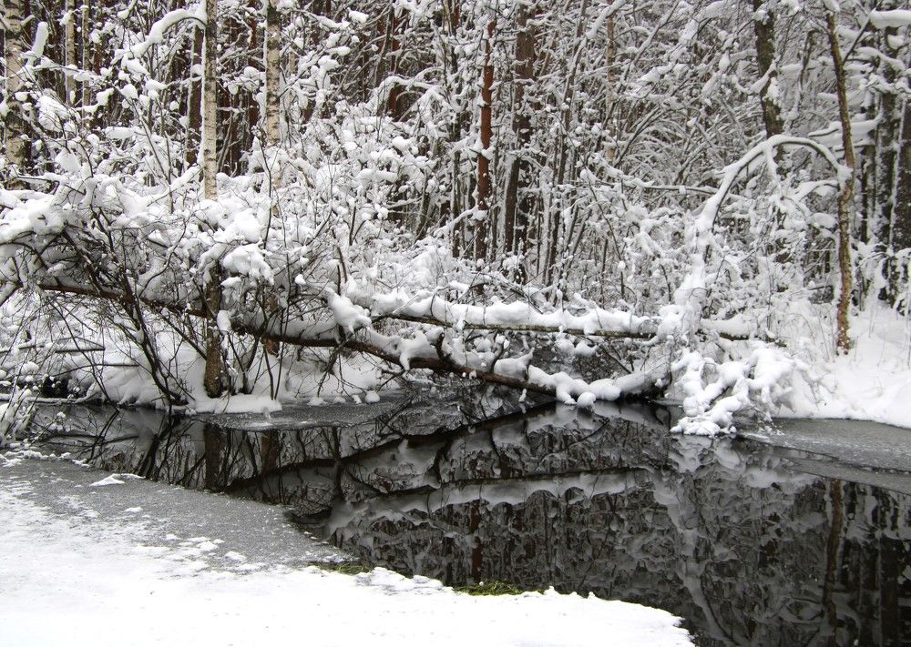Photograph by Anna Baykova