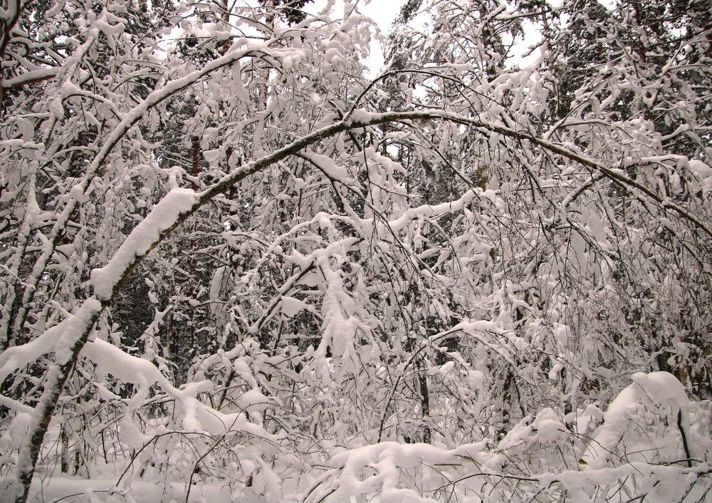 Photograph by Anna Baykova