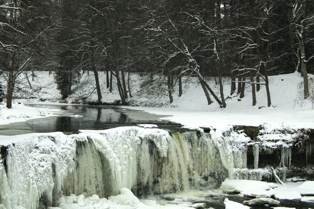 Photograph by Anna Baykova